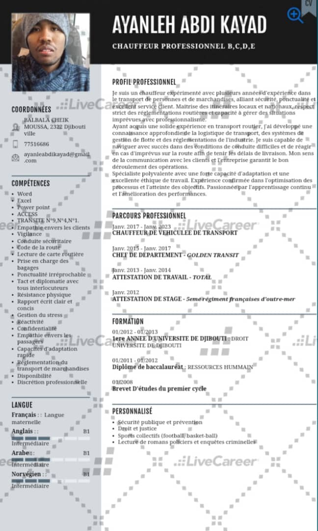 Chauffeur expérimenté avec permis C, D et E