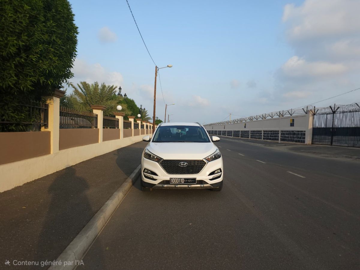 Hyundai Tucson 2018, diesel, automatique, très propre, bien entretenu