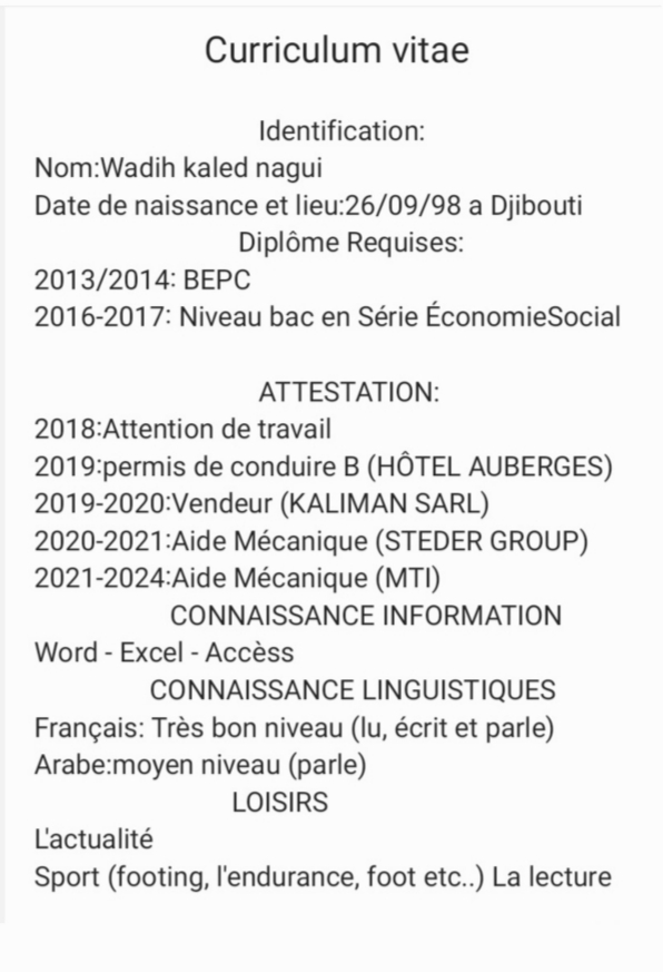 Chauffeur polyvalent avec 8 ans d\'expérience