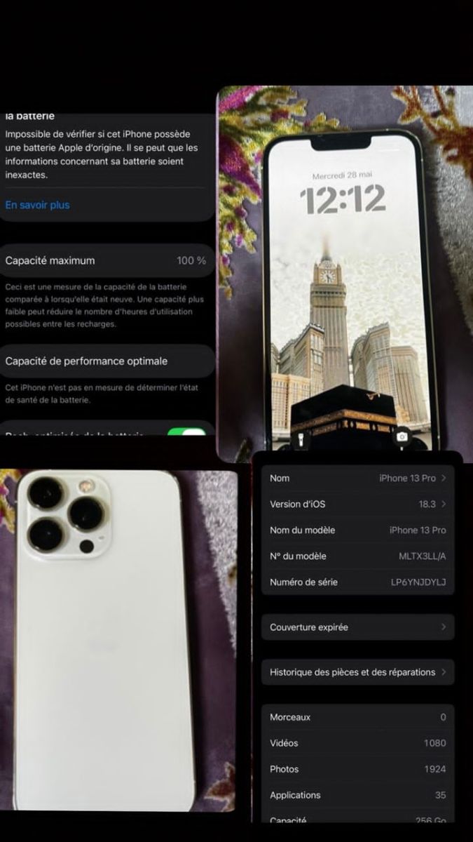 iPhone 13 Pro 256 Go, état impeccable