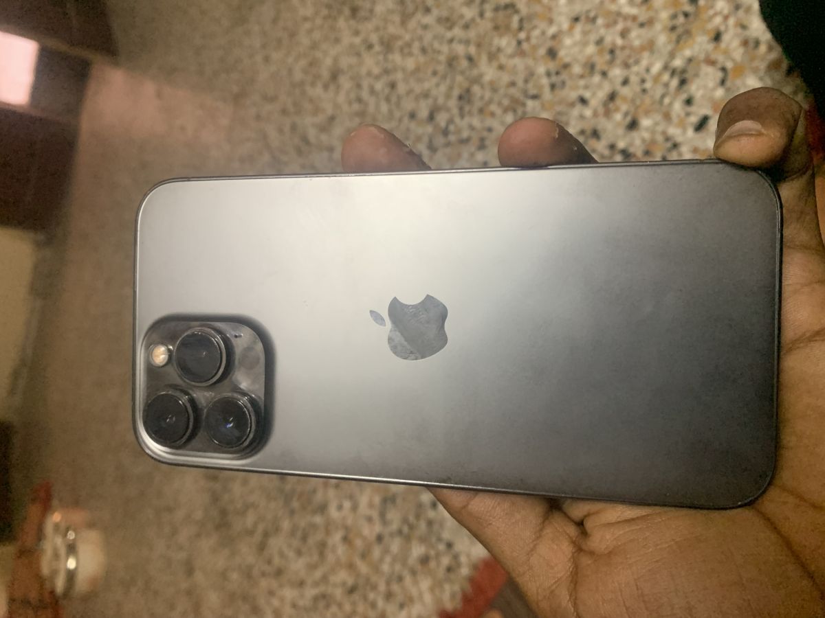 iPhone 13 Pro Max 256 Go en excellent état