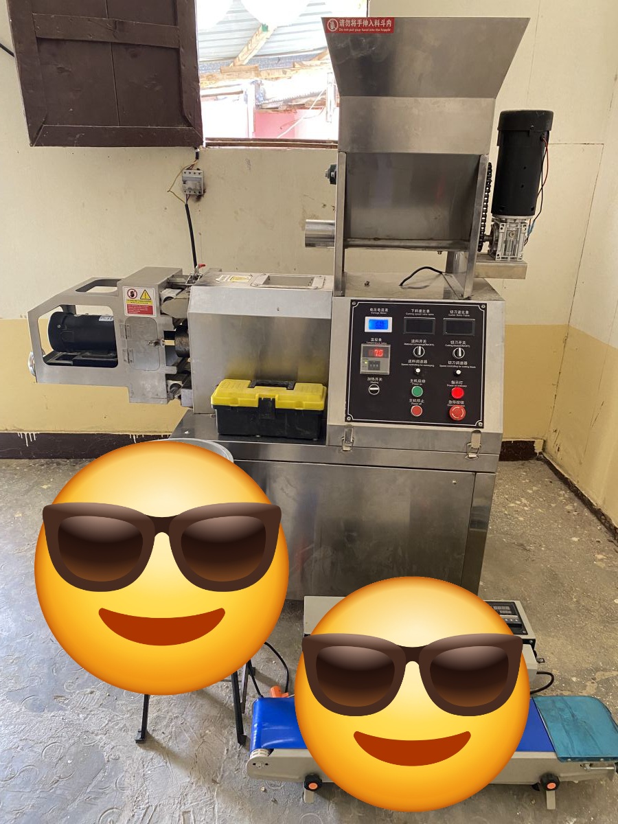 Machine de fabrication de chips croustillants, capacité 100 kg/h