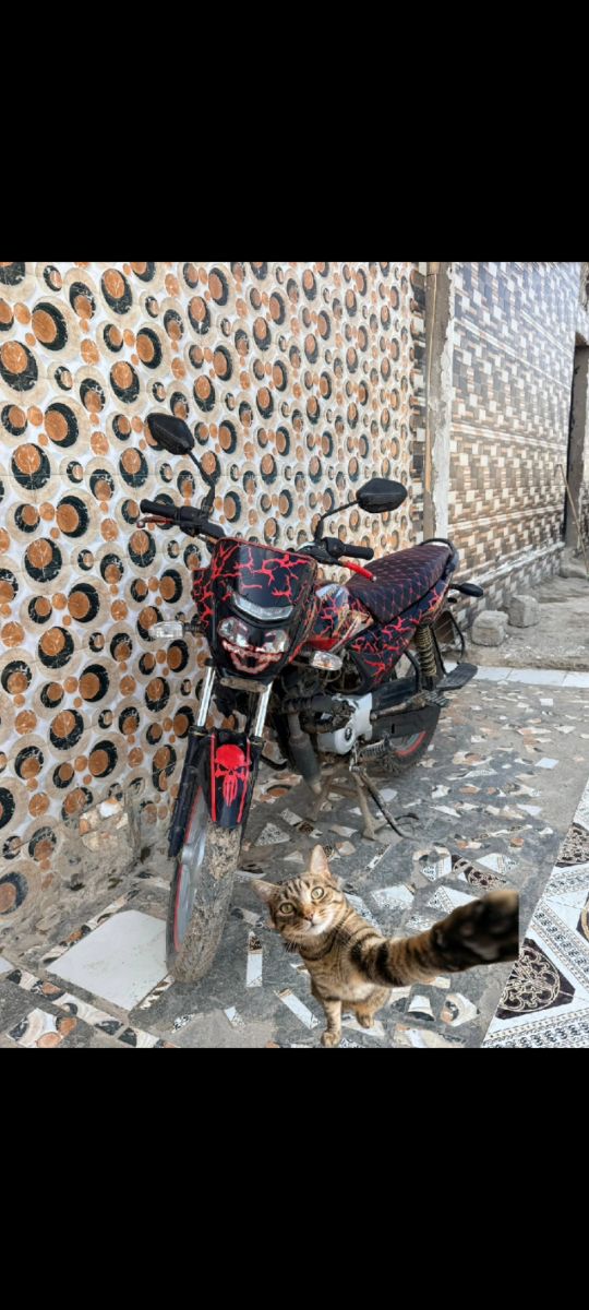 Moto Platina en bon état, 6 mois d\'assurance inclus