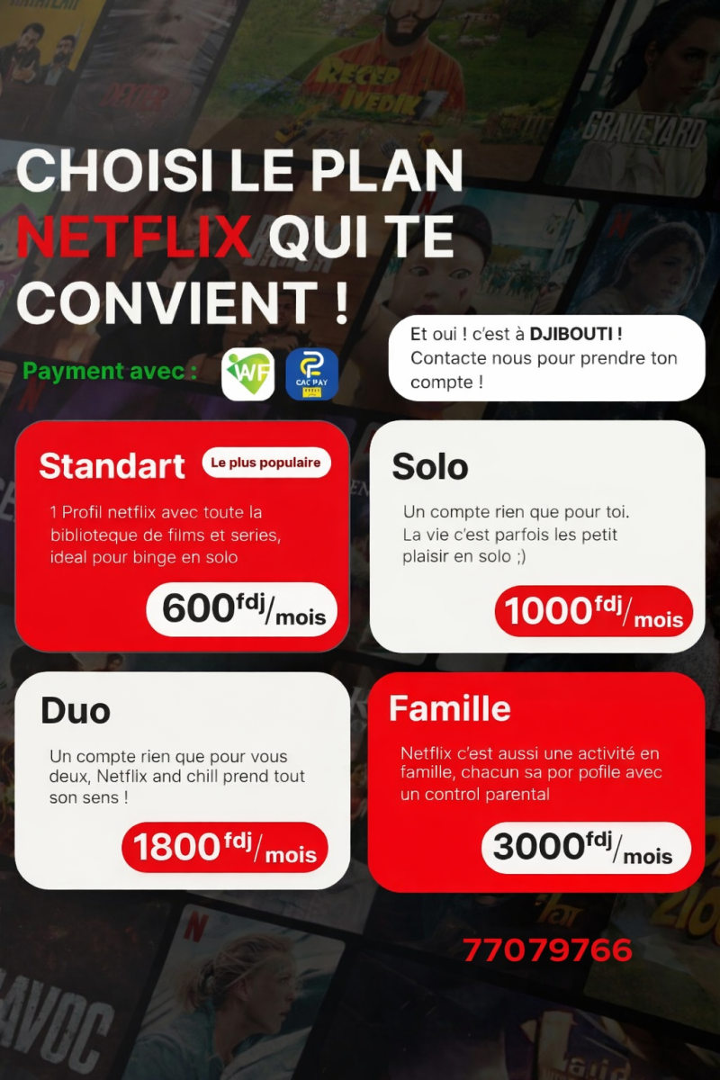 Abonnement Netflix Premium HD