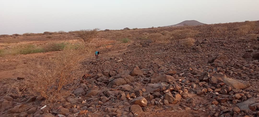 Terrain de 2 hectares à Nagad, prix abordable
