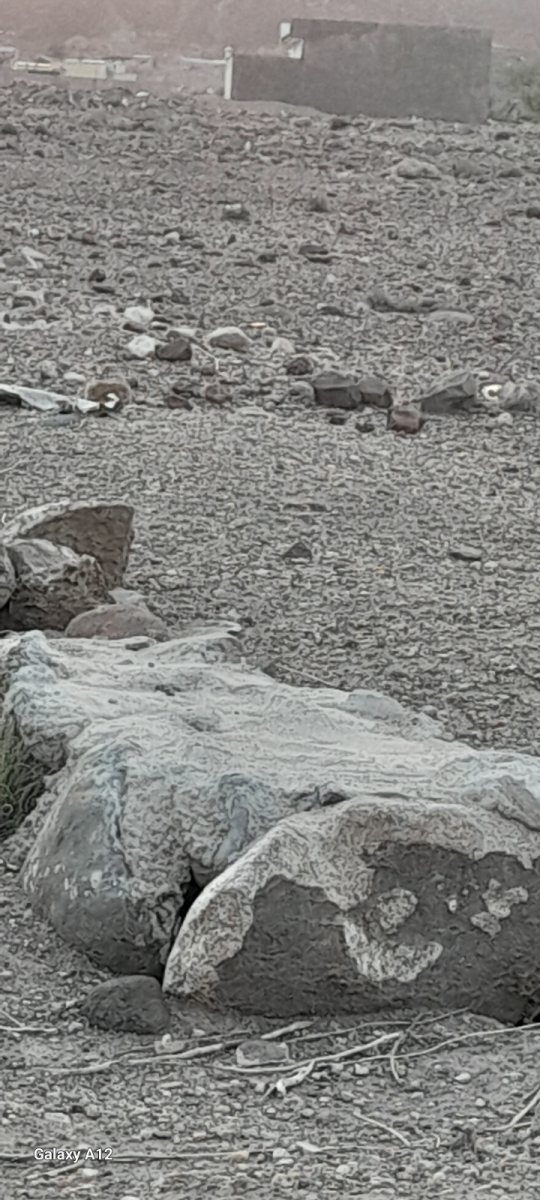 Terrain stratégique à vendre près du stade Ali Sabieh