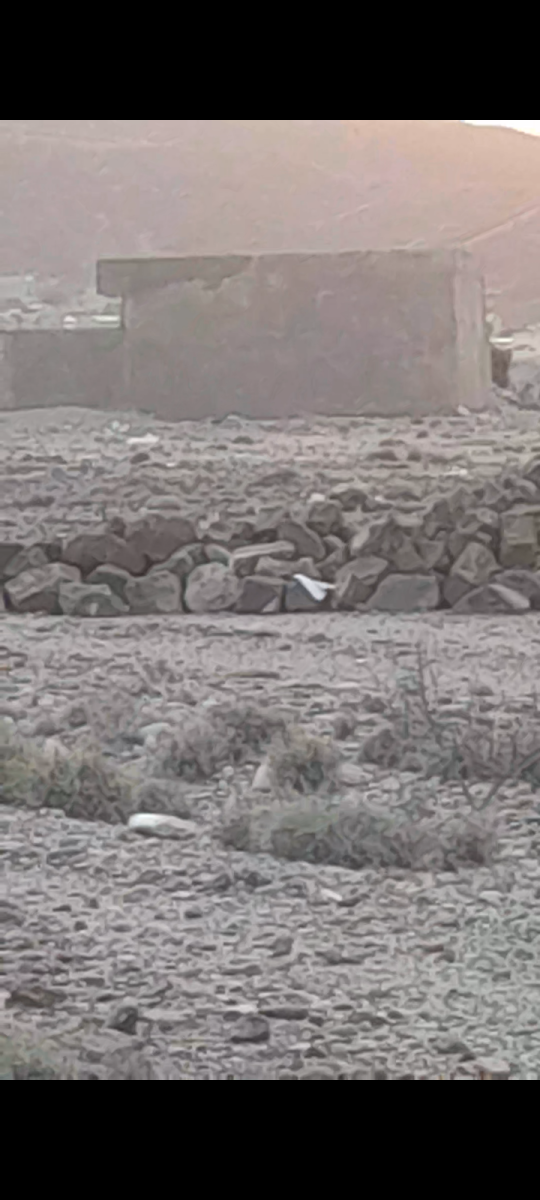 Terrain proche stade Ali Sabieh, 256m², idéal résidentiel/commercial