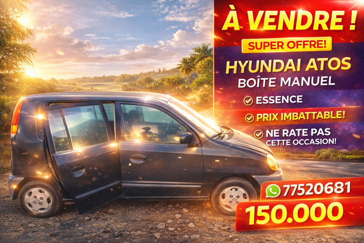 Hyundai Atoz 2005, essence, boîte manuelle, pratique et économique