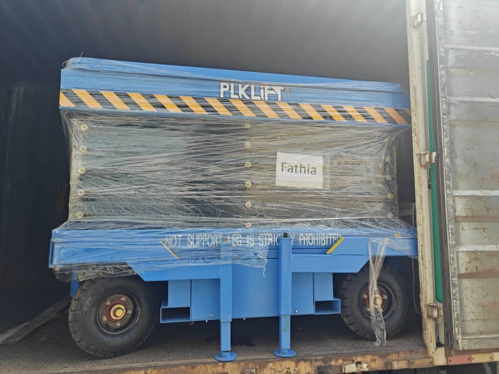 Plateforme élévatrice électrique THCY-0.5-10, 10 m