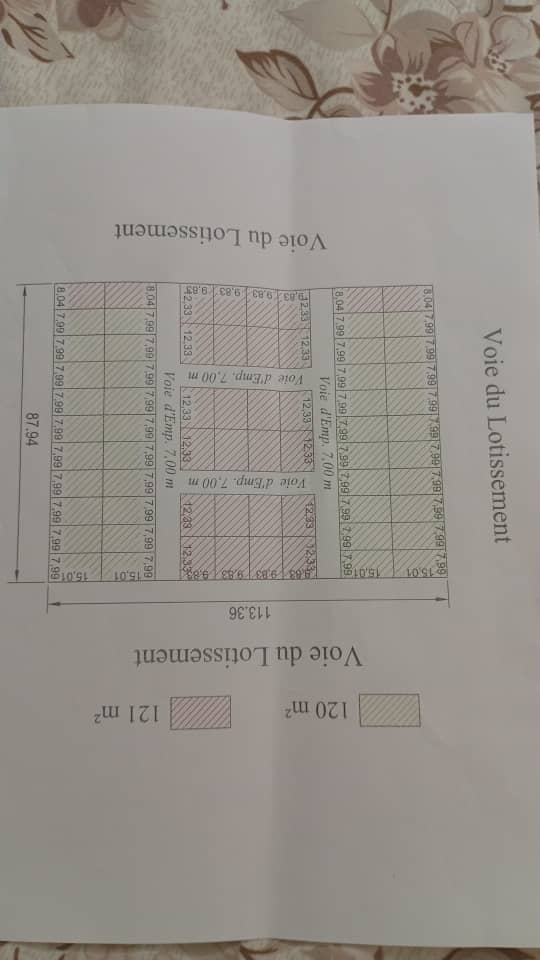Terrains à vendre à Cité Nasib