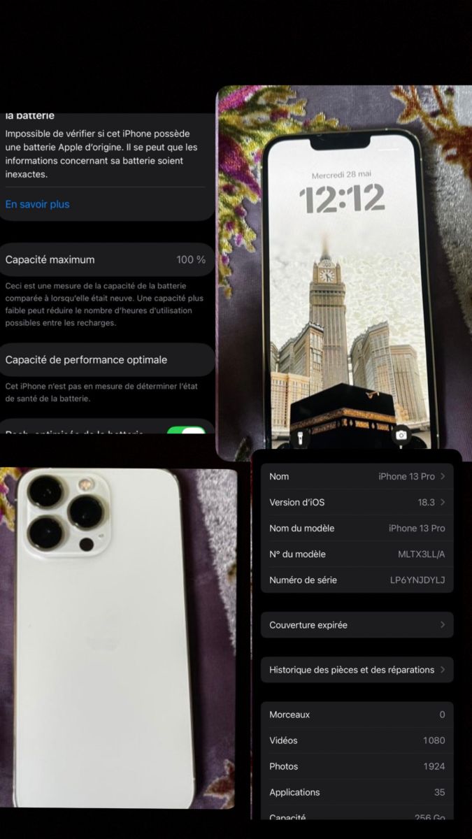iPhone 13 Pro 256 Go, batterie 100%, 2 coques incluses et chargeur offert