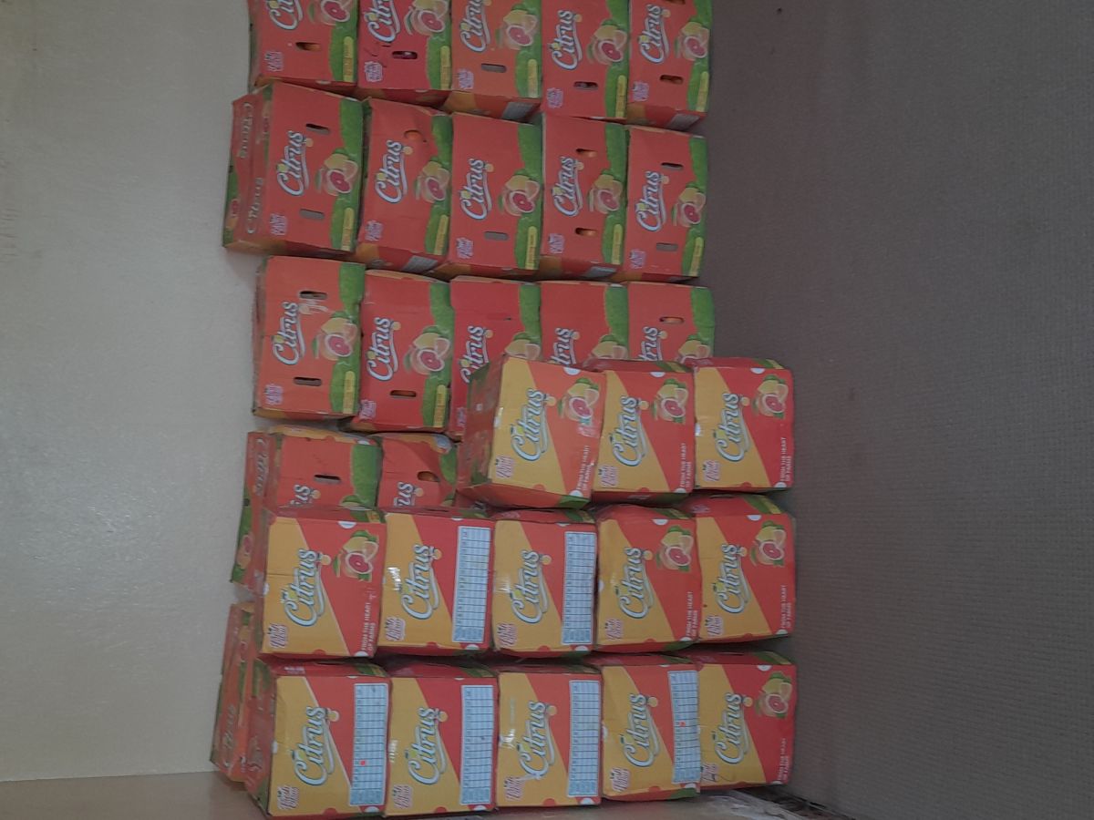 Oranges fraîches Fresh Citrus d\'Égypte, carton à 2700fr