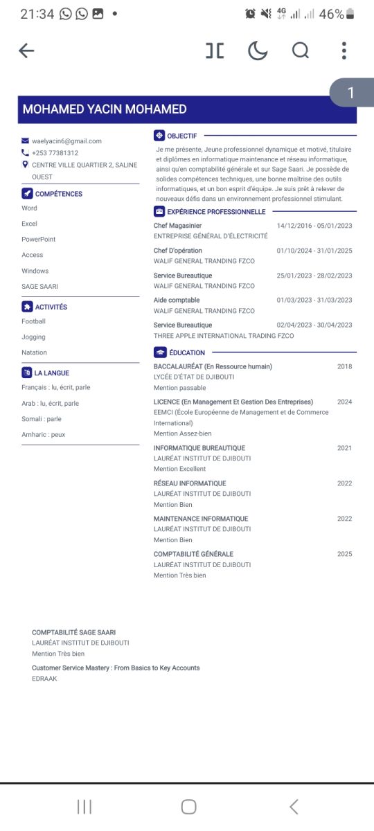 Diplômé en Management et Informatique, disponible pour emploi