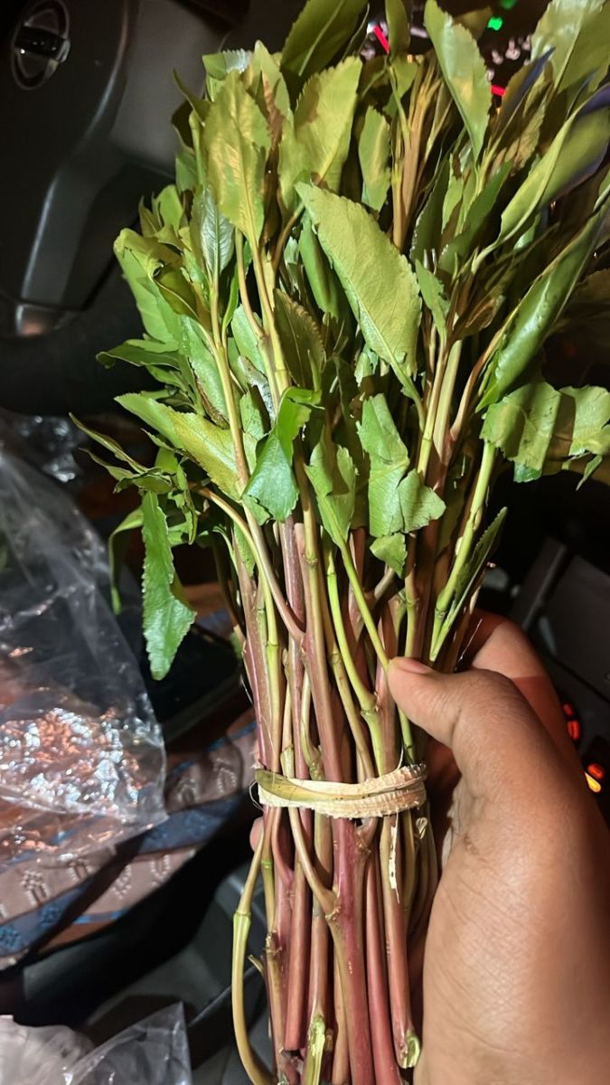 Toyota Prado LG120, manuelle, moteur diesel