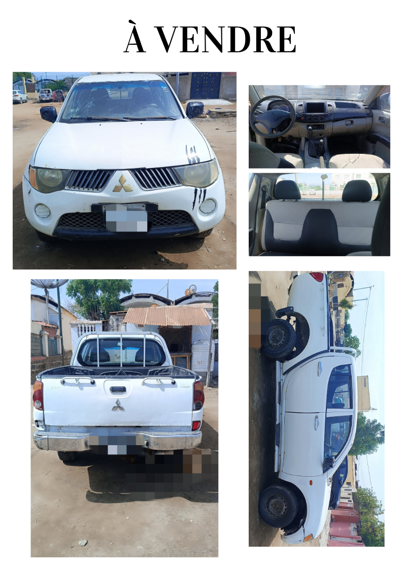 Mitsubishi L200 2010, diesel, bon état, turbo à prévoir