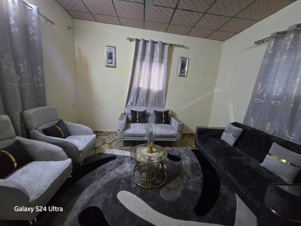 Salon moderne avec canapé, très peu utilisé