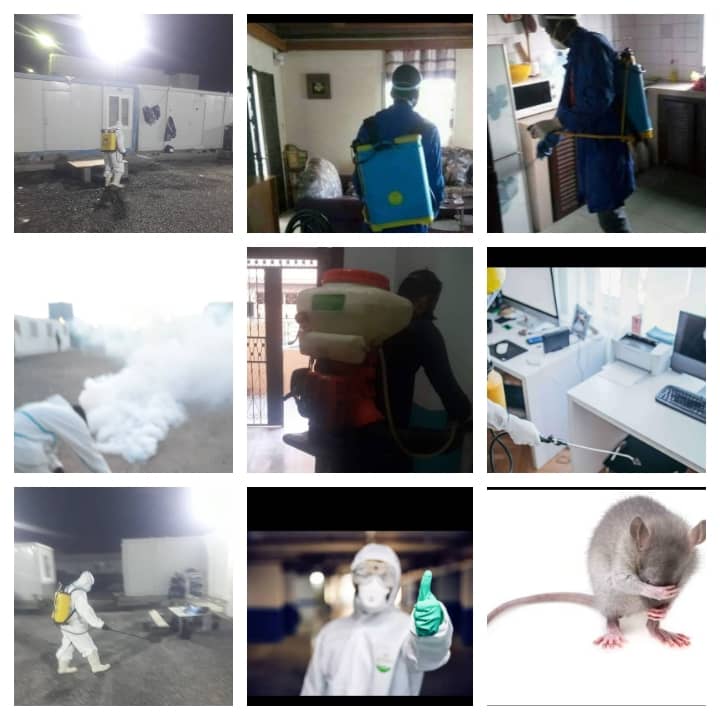 Services de dératisation, désinfection et désinsectisation 3D par Société Djib