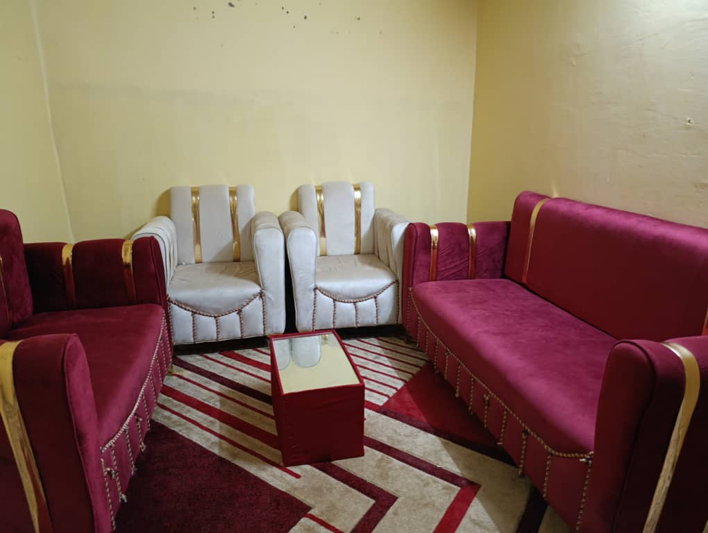 Salon en velours bordeaux, avec tapis et accessoires de décoration