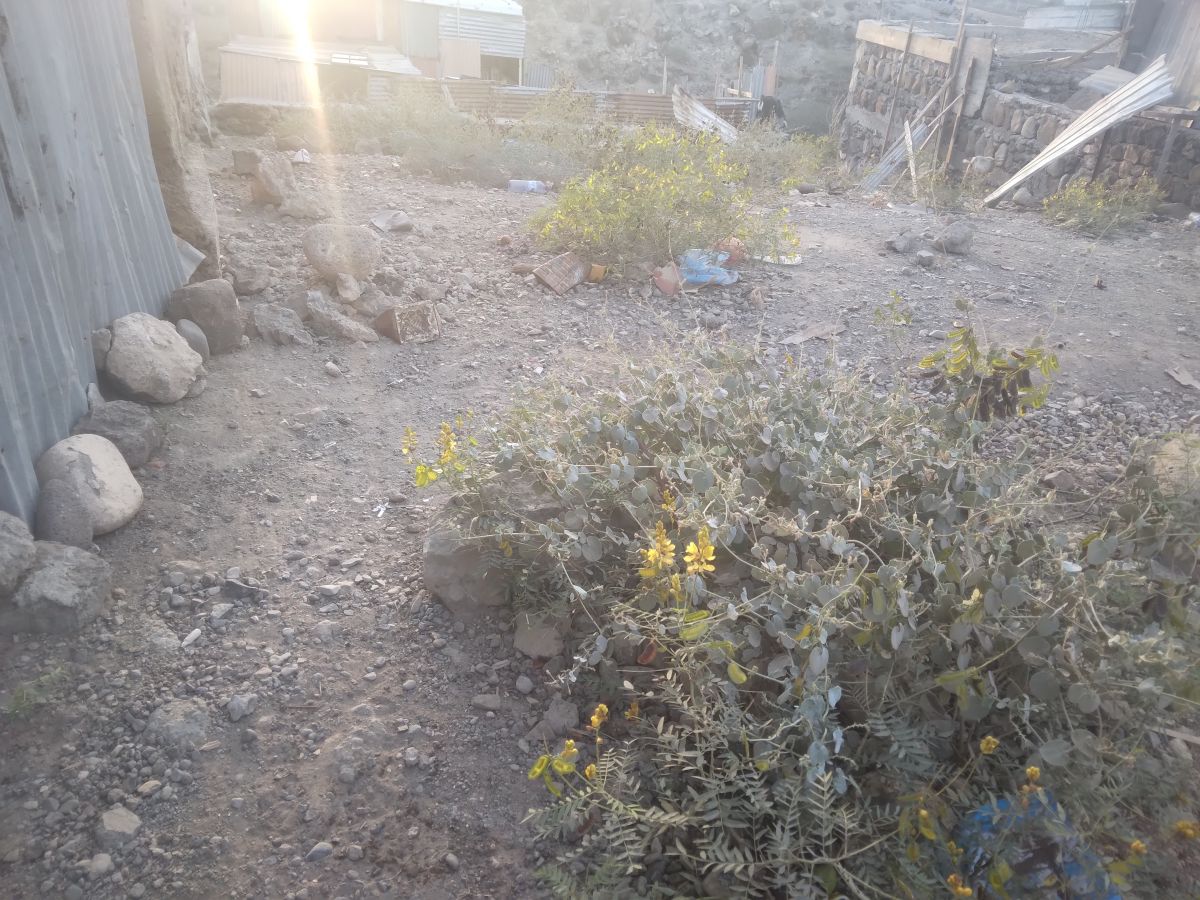 Terrain de 150m² à Balbala 11