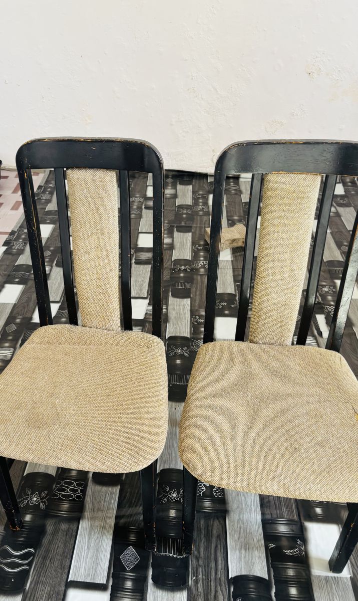 Deux chaises simples et pratiques en bon état