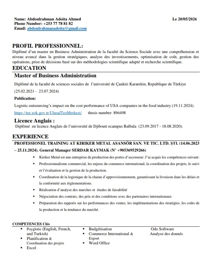 Diplômé MBA multilingue expert en gestion stratégique et logistique