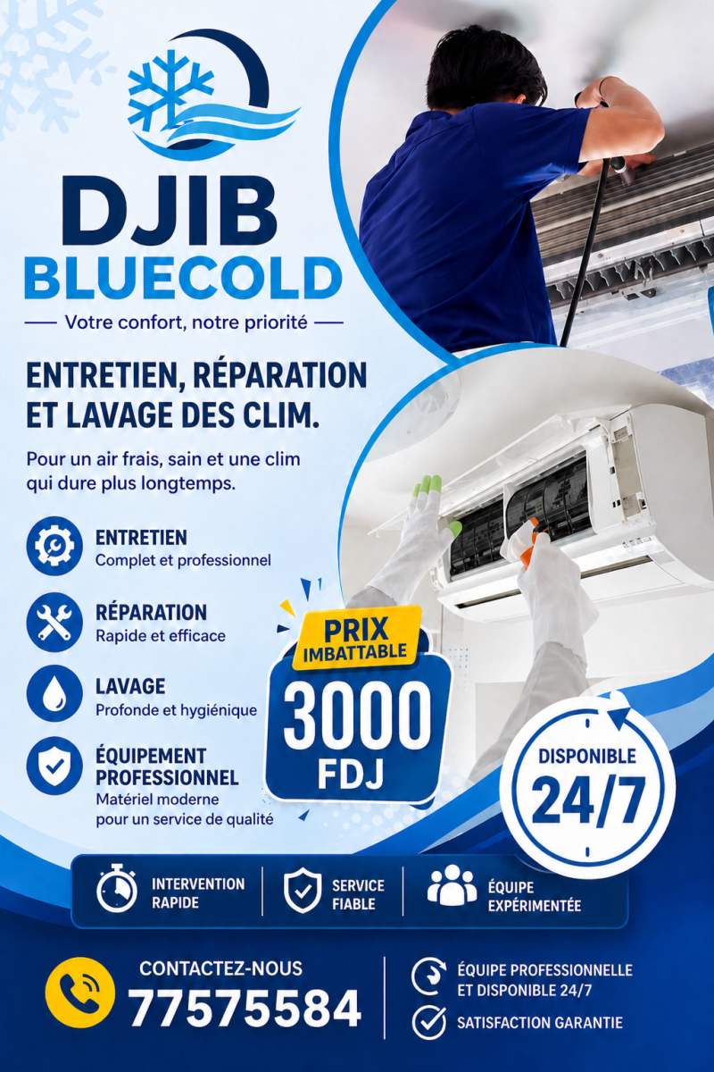 Entretien et réparation professionnels de climatiseurs DJIB BLUECOLD