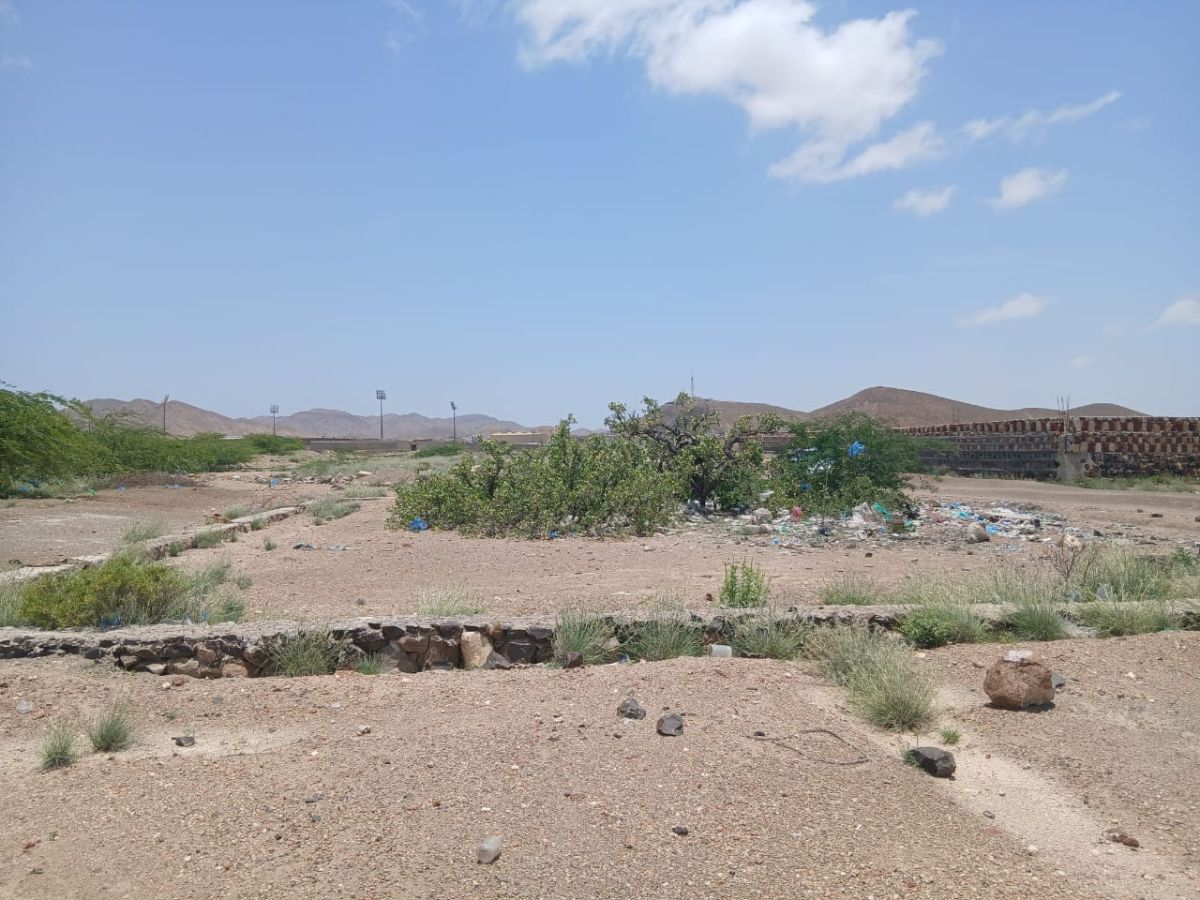 Terrain 300m² à Ali Sabieh, près du stade, titre provisoire