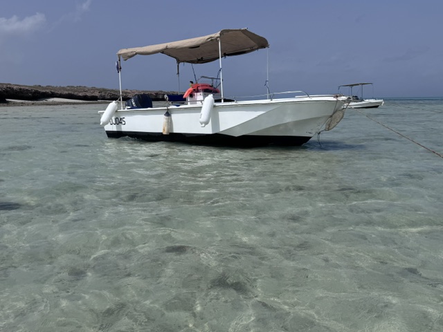 Bateau 7m Yamaha V6 150 CV avec sondeur GPS