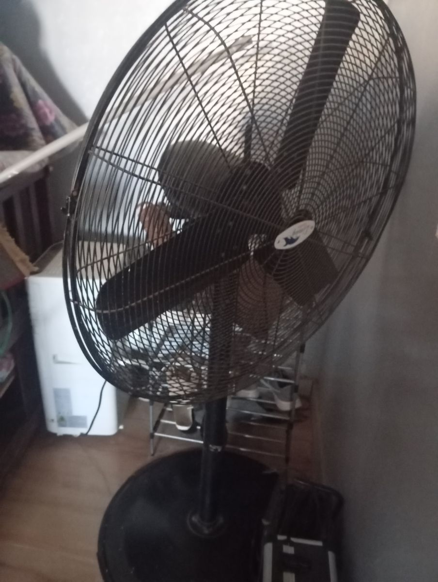 Ventilateur sur pied LIMAG grande taille, puissant et réglable