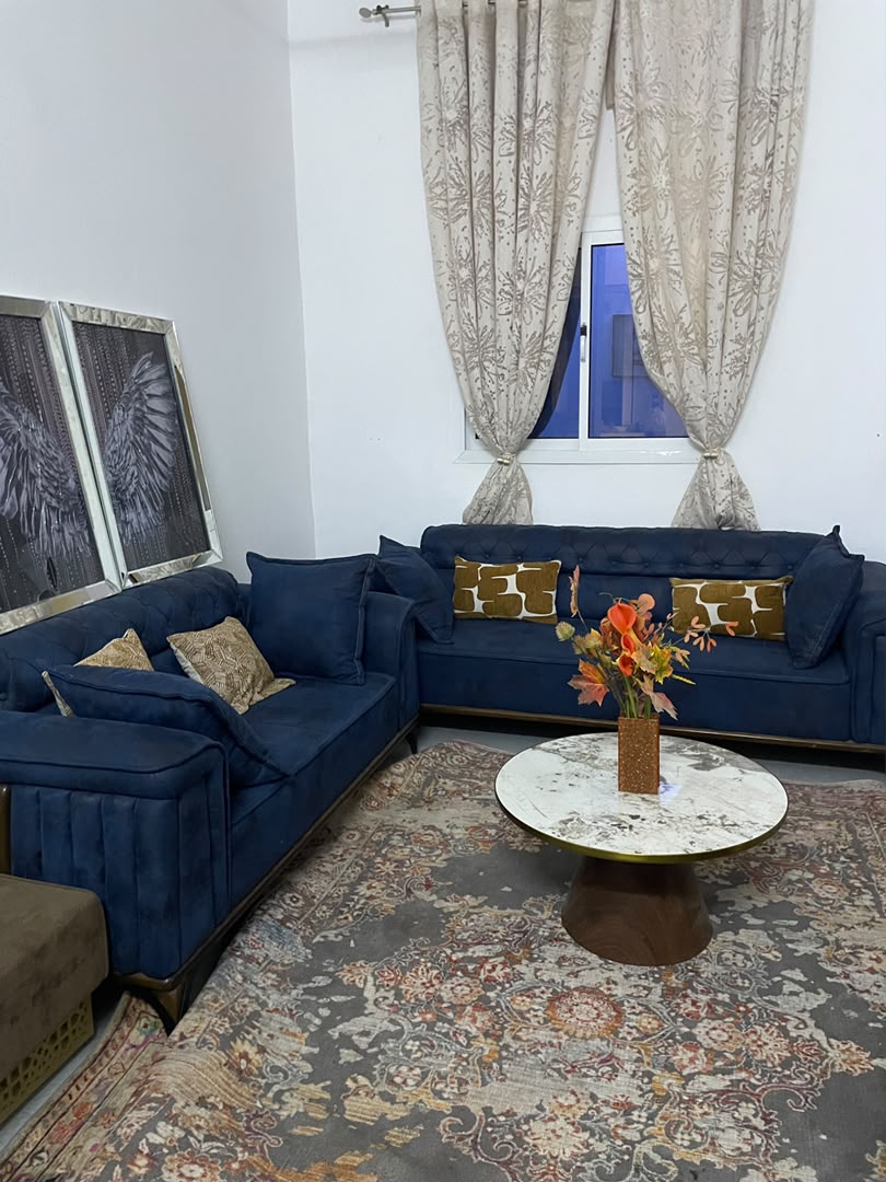 Salon moderne turc chic avec table basse et cadres assortis