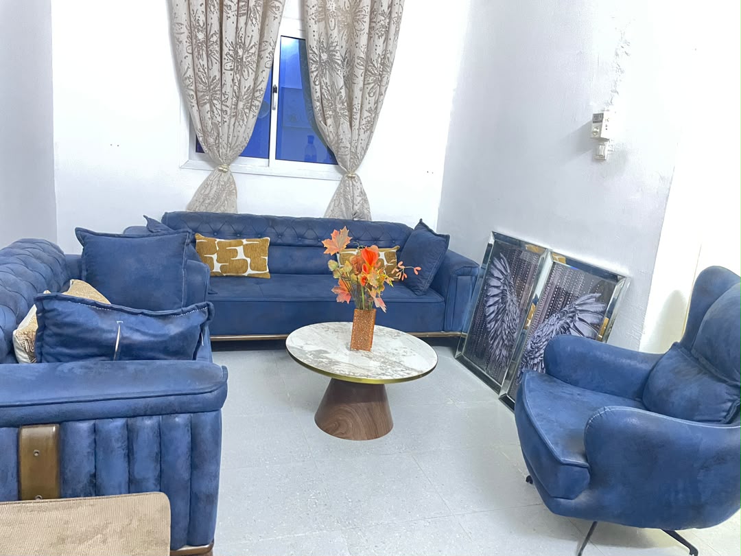 Salon moderne turc chic avec table basse et cadres assortis