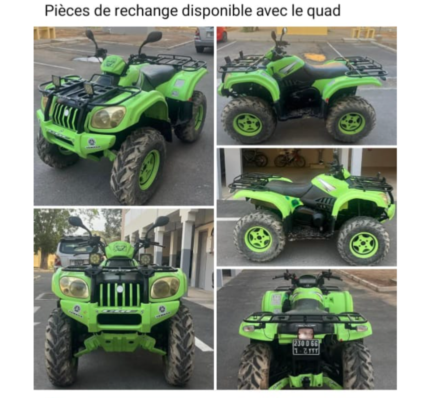 Quad Minico 550 Puma en bon état