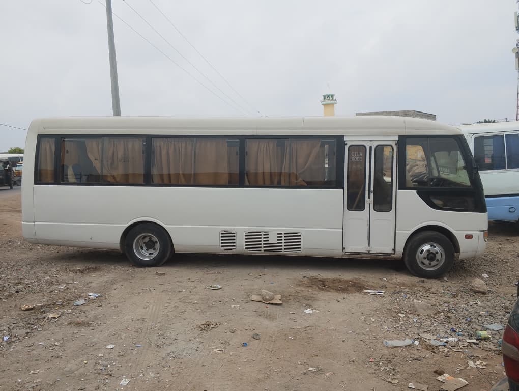 2 bus Mitsubishi rosa 2018