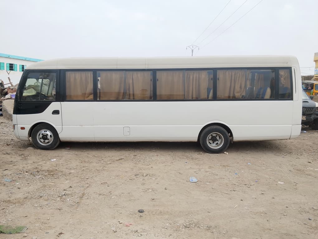 2 bus Mitsubishi rosa 2018