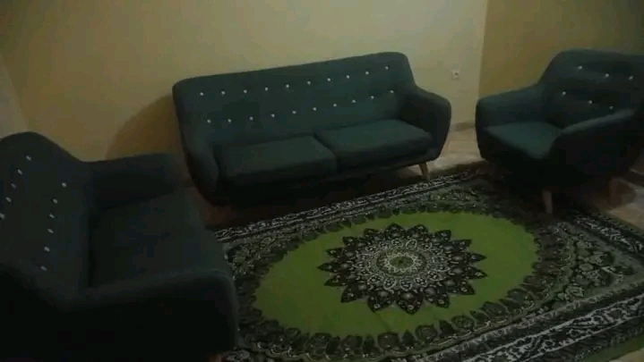 Salon en très bon état avec tapis inclus