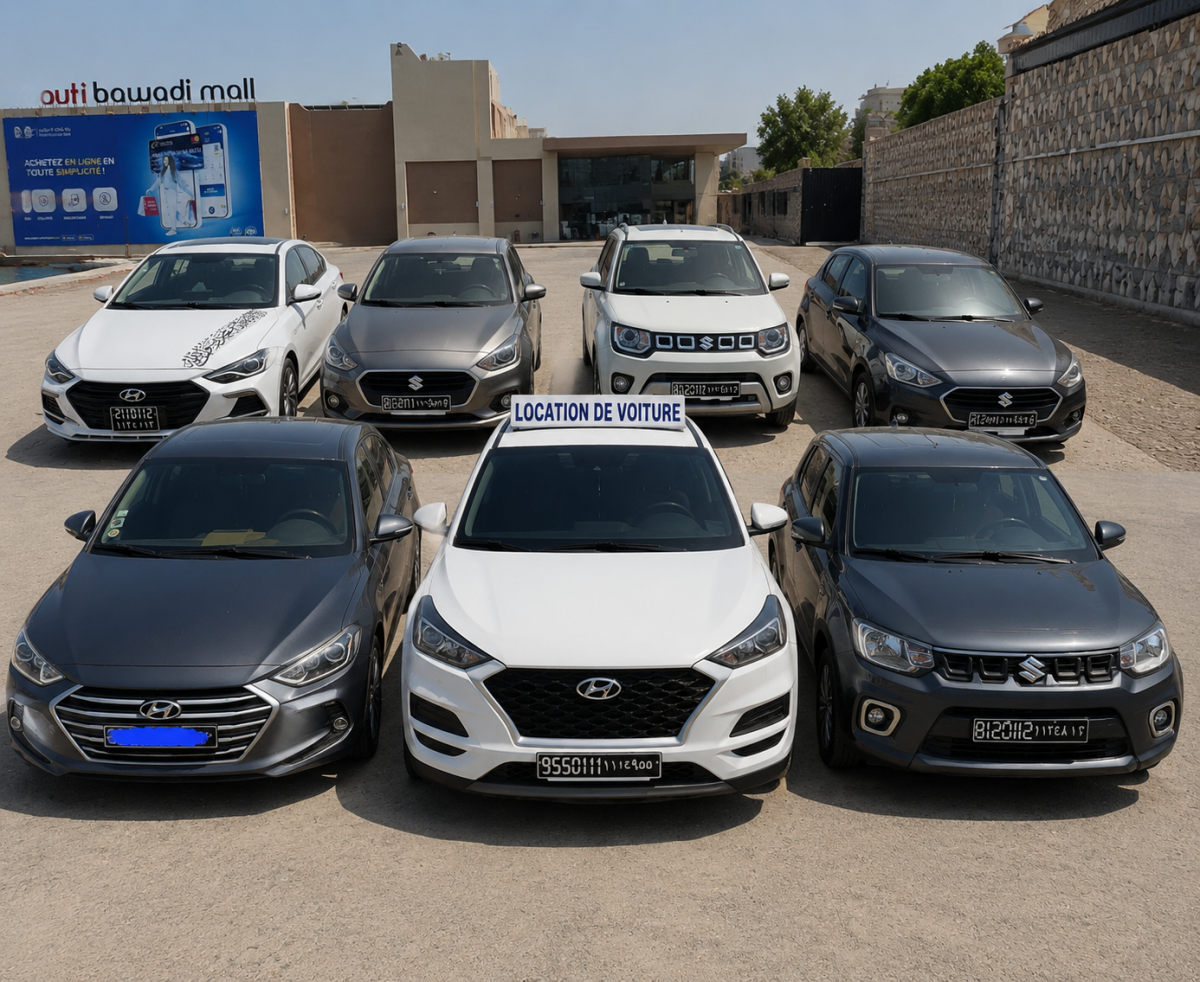Location de voiture Hyundai, Suzuki, Toyota, Nissan, Kia disponibles