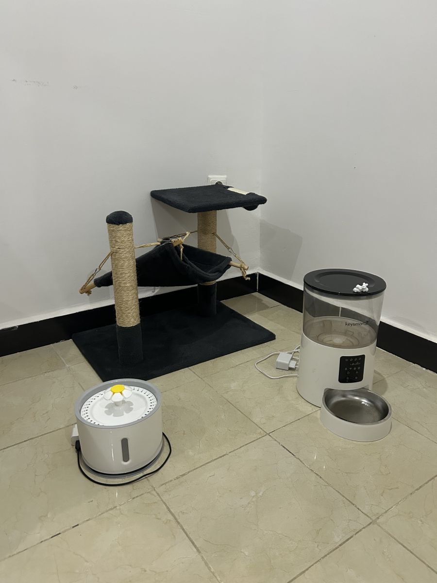 Accessoires essentiels pour chat incluant arbre et fontaine