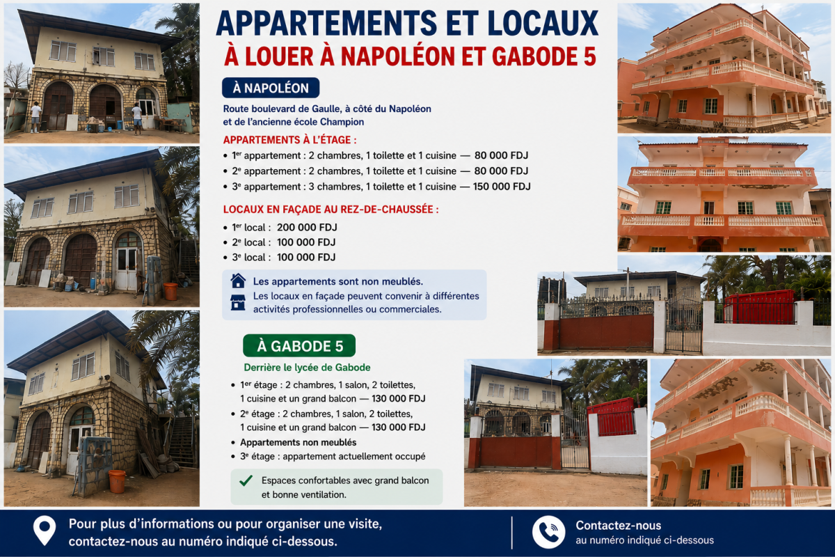 Appartements et locaux à louer à Napoléon et Gabode 5