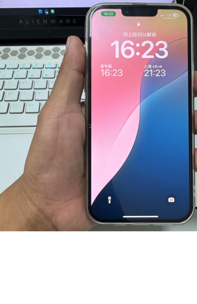 iPhone 13 Pro Max 256 Go, version chinoise