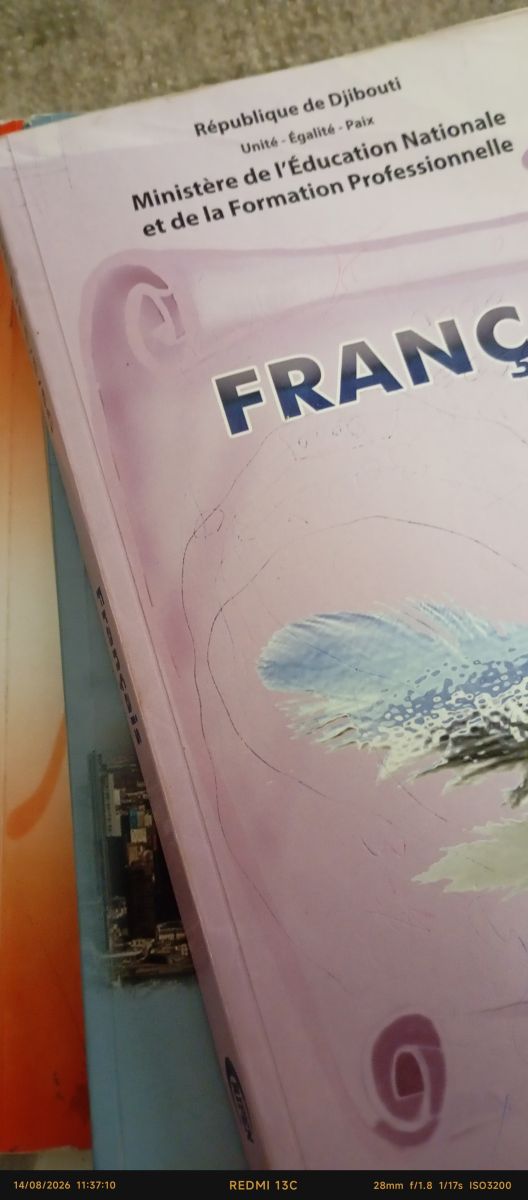 Livre Première S en bon état pour cours et révisions