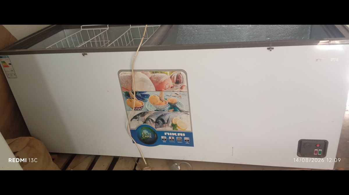 Congélateur professionnel en bon état pour magasin