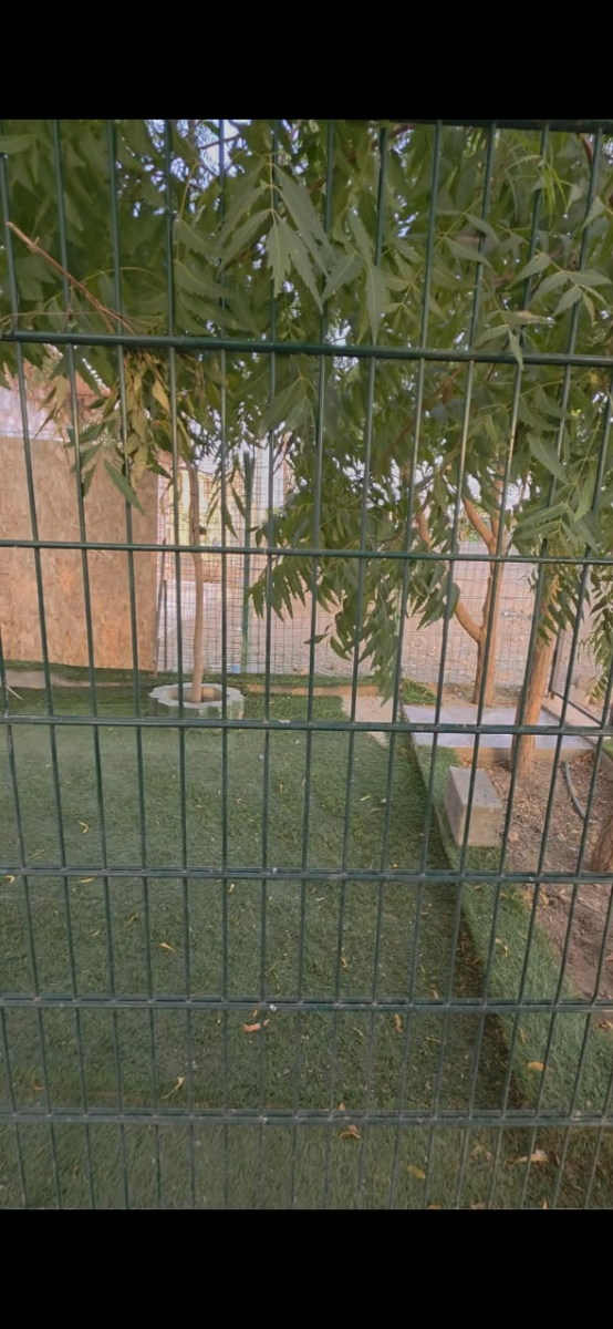 Maison duplex R+2 spacieuse avec jardin à PK13 Cité GN/GR