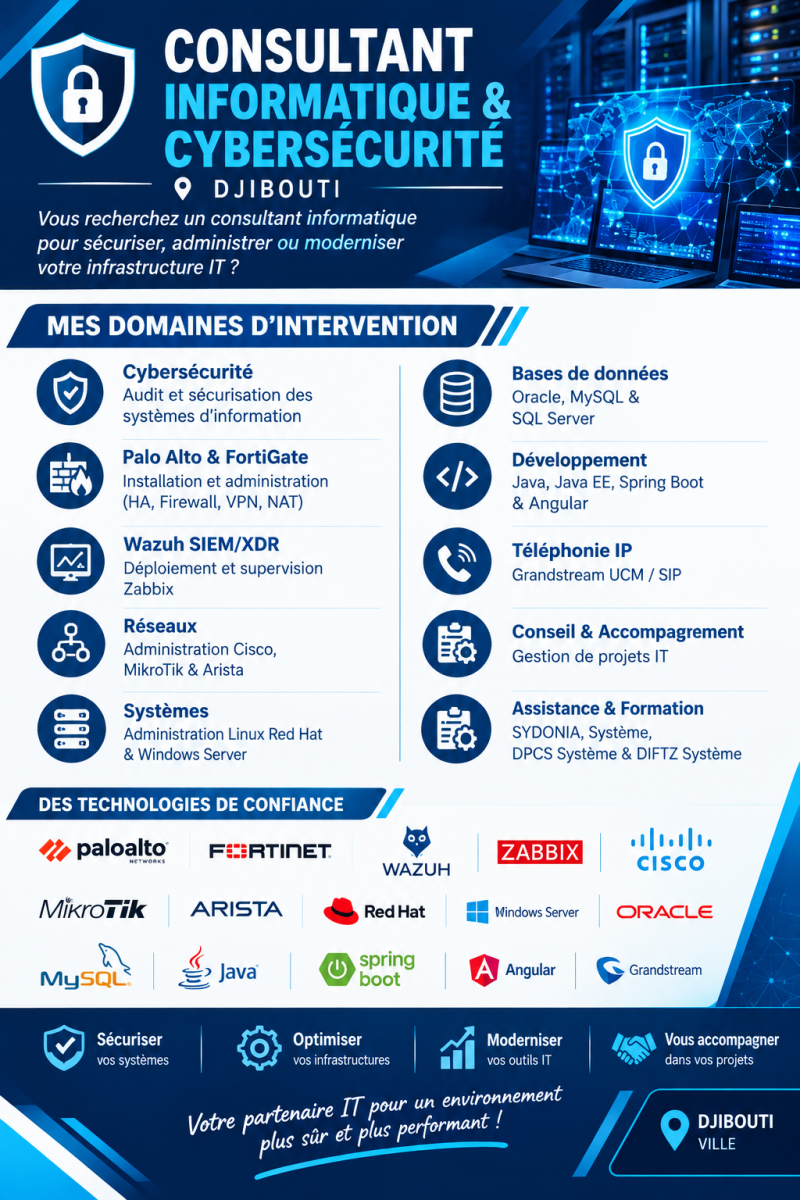Consultant informatique et cybersécurité à Djibouti