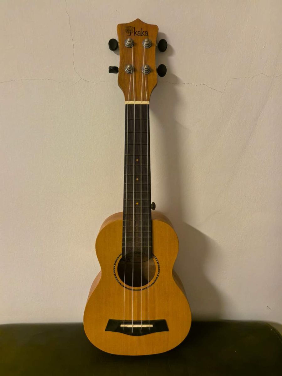 Ukulélé petite taille en bon état pour musicien amateur