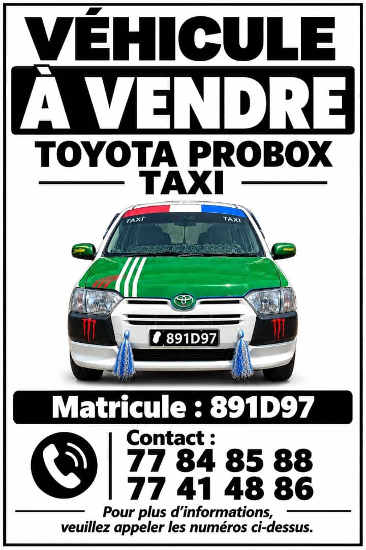 Toyota Probox Taxi en excellent état