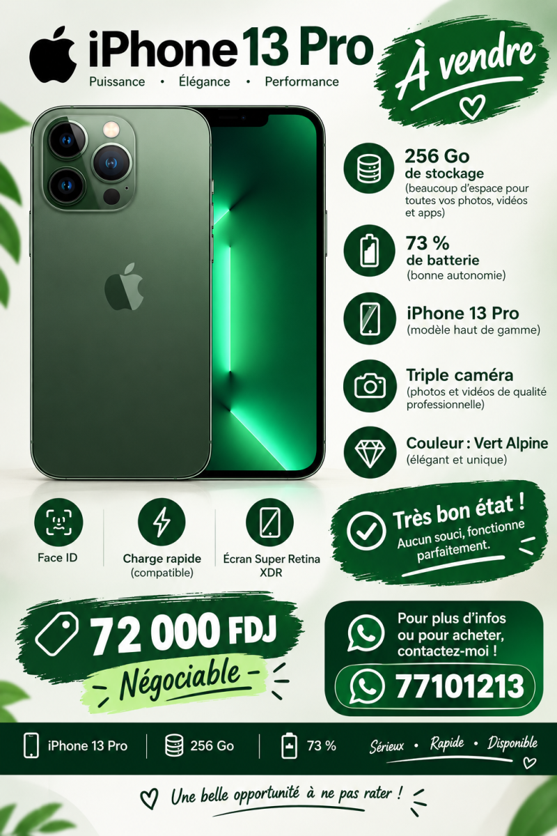 iPhone 13 Pro 256 Go en très bon état