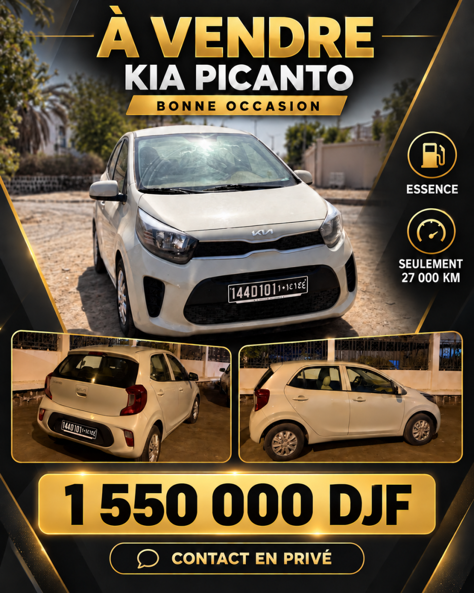 Kia Picanto essence compacte en excellent état