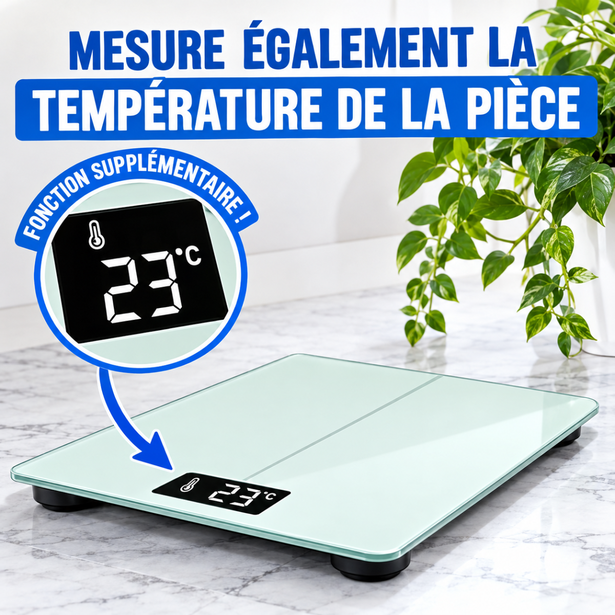 Balance digitale 2-en-1 poids et température moderne