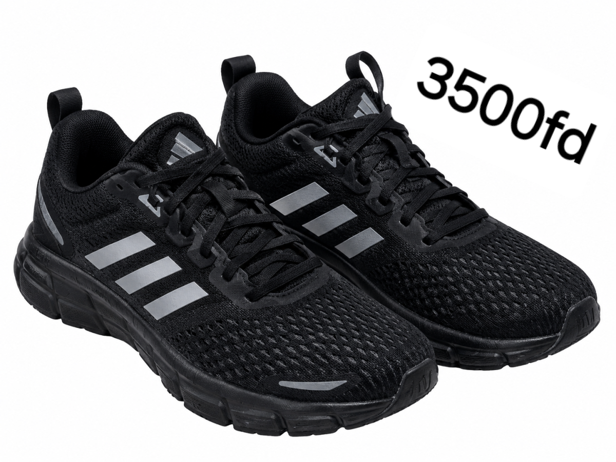 Chaussures neuves portées une seule fois