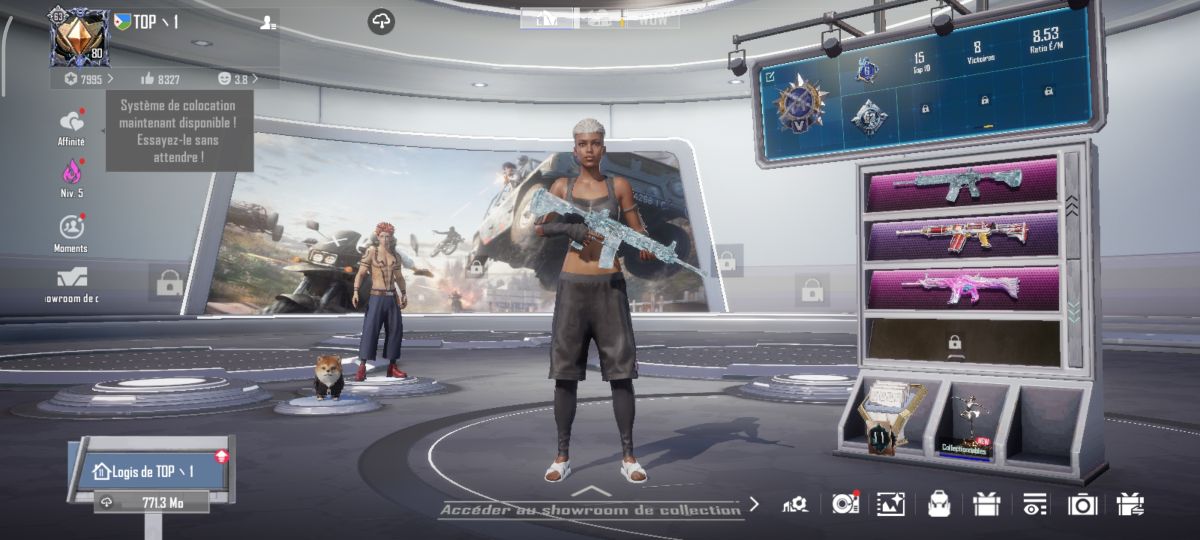 Compte PUBG niveau 80 avec armes mythiques et véhicules colorés